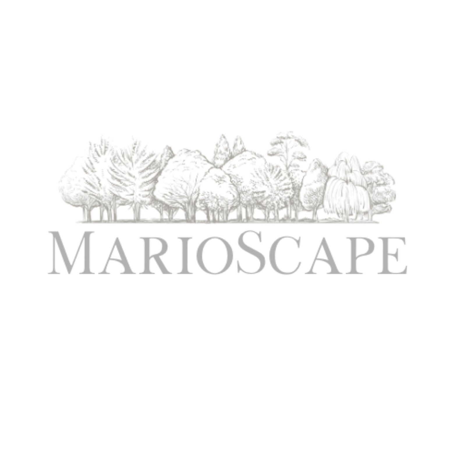MarioScape LLC - North Shore Landscaping