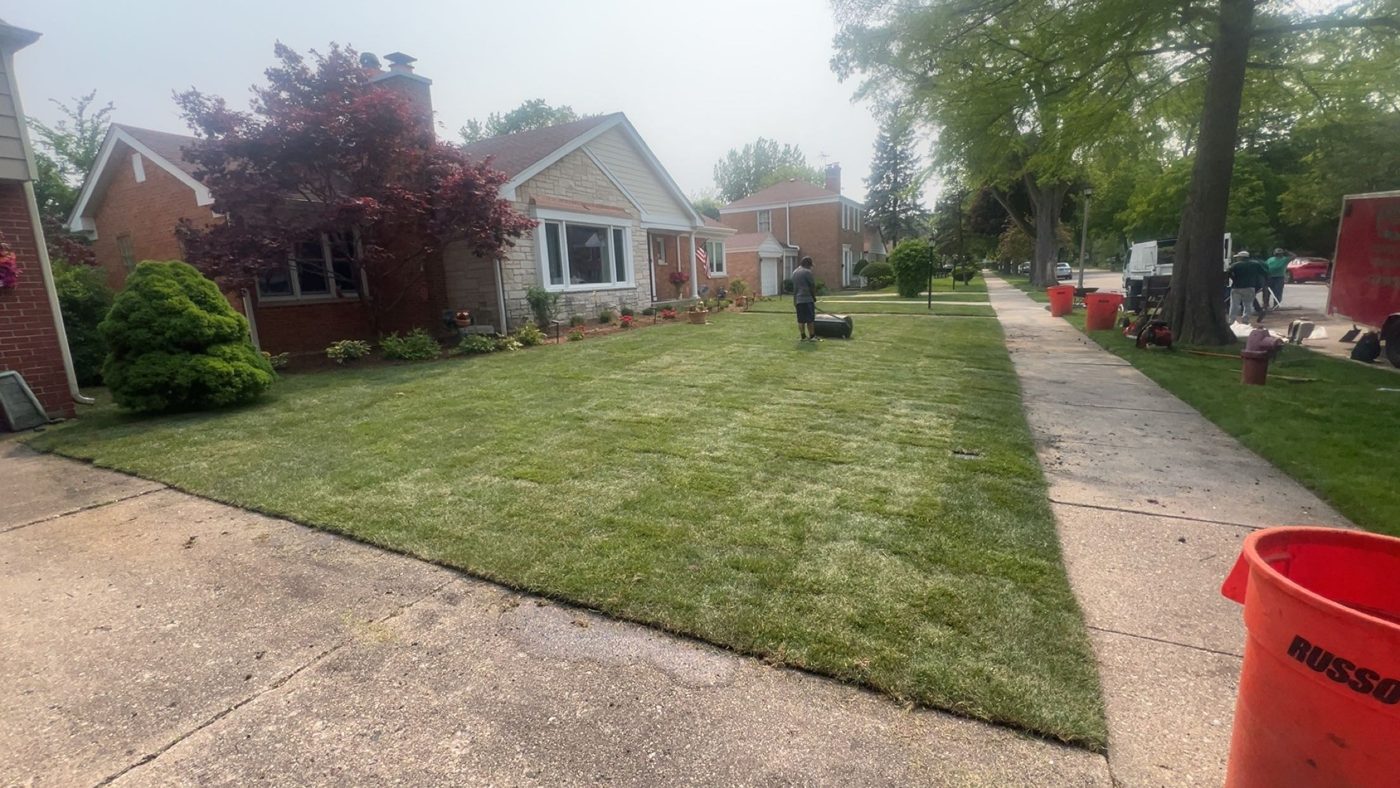 Fresh sod laid in a front yard — MarioScape sod installation, North Shore