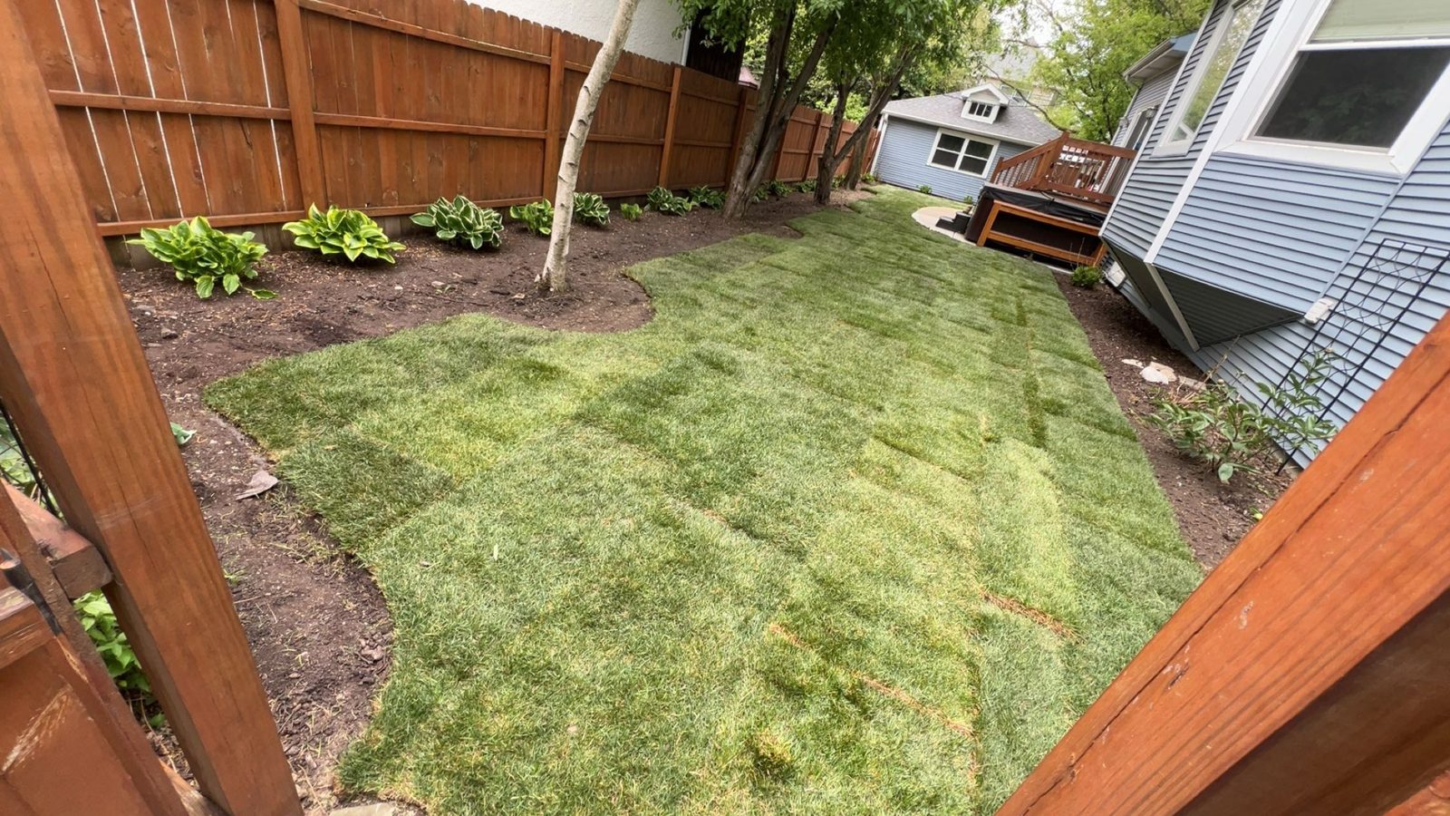 Same backyard after new sod installation — MarioScape North Shore