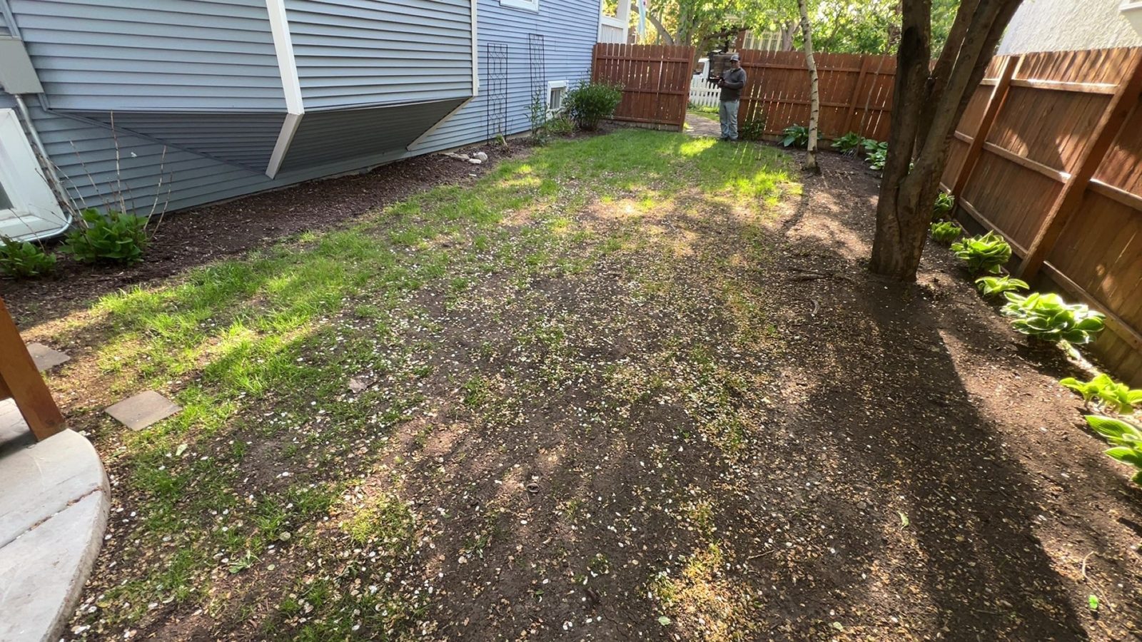Backyard before sod — thin, patchy lawn on clay, MarioScape