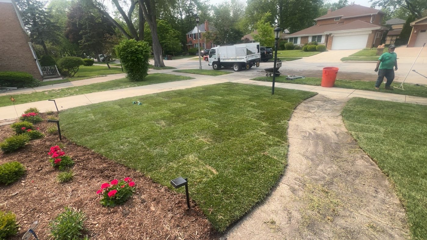 Thick front lawn with clean planting beds — MarioScape lawn care, North Shore