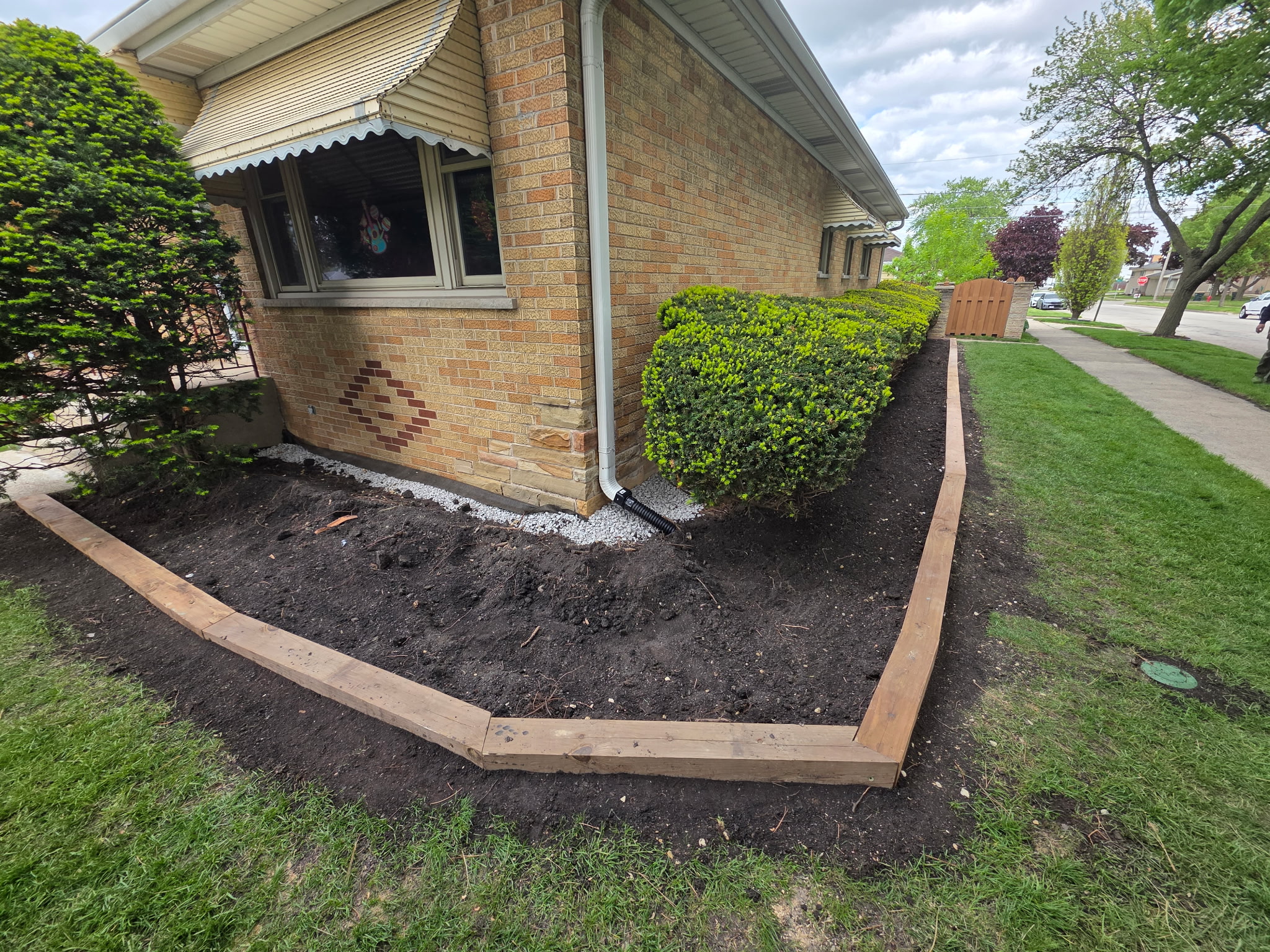 Completed drainage install with timber-edged bed and pop-up downspout exit