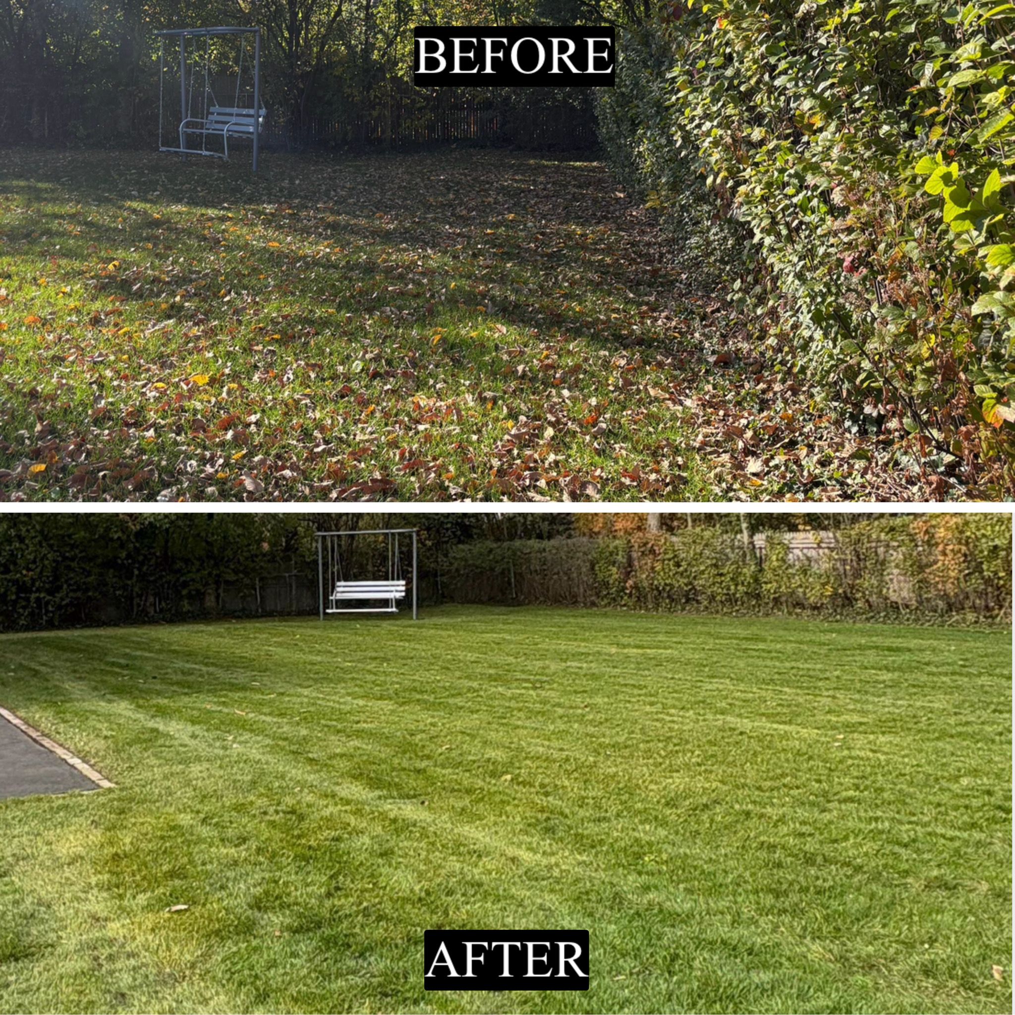 Before and after fall cleanup, backyard leaf removal, Winnetka IL — MarioScape