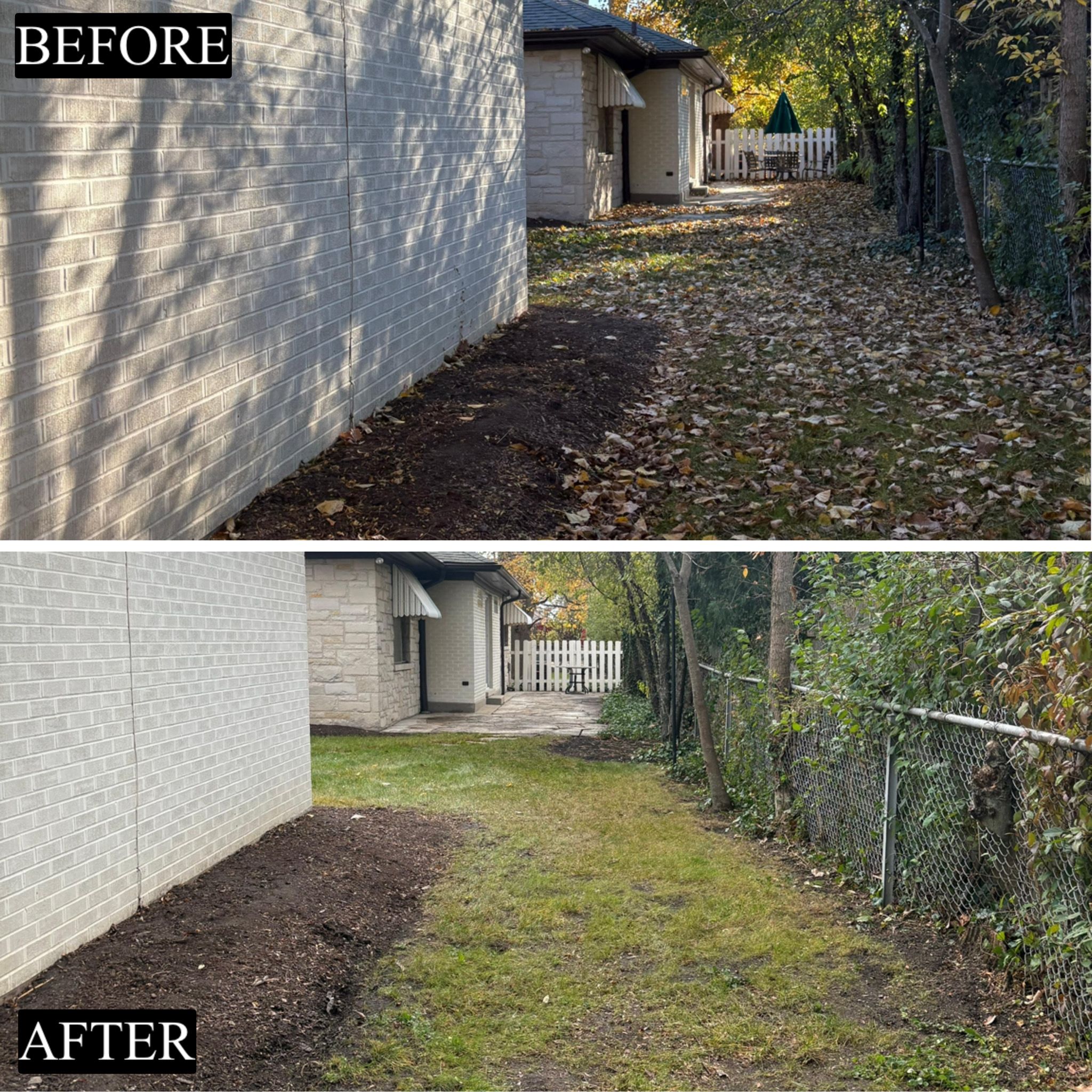 Before and after fall cleanup, side path cleared of leaves, Winnetka IL — MarioScape
